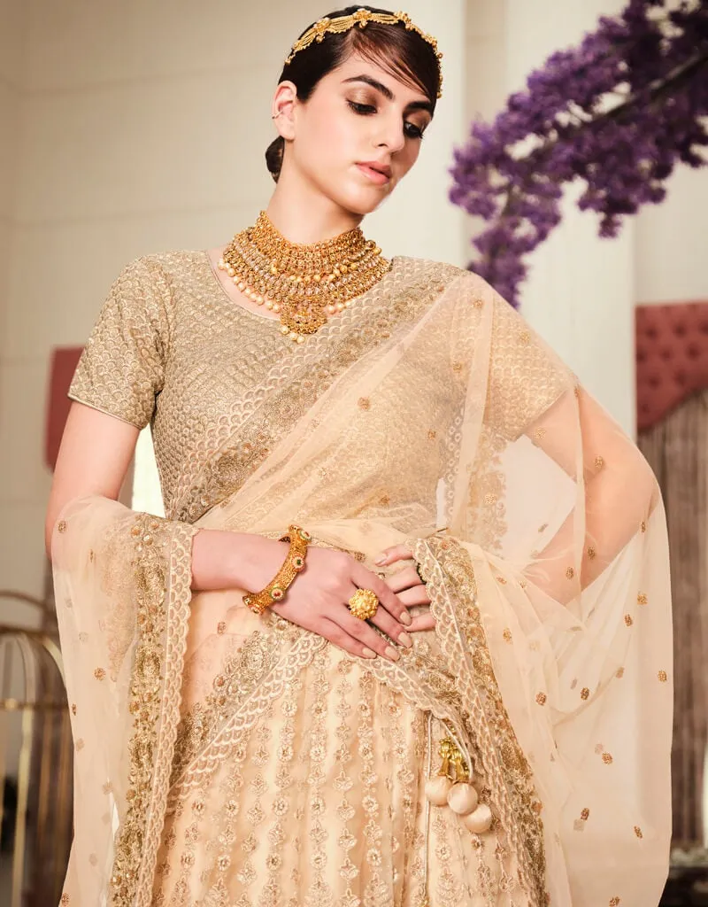 Beige Lehenga style Suits Soft Net With Inner