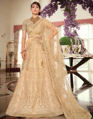 Beige Lehenga style Suits Soft Net With Inner